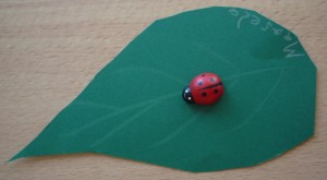 P1010532